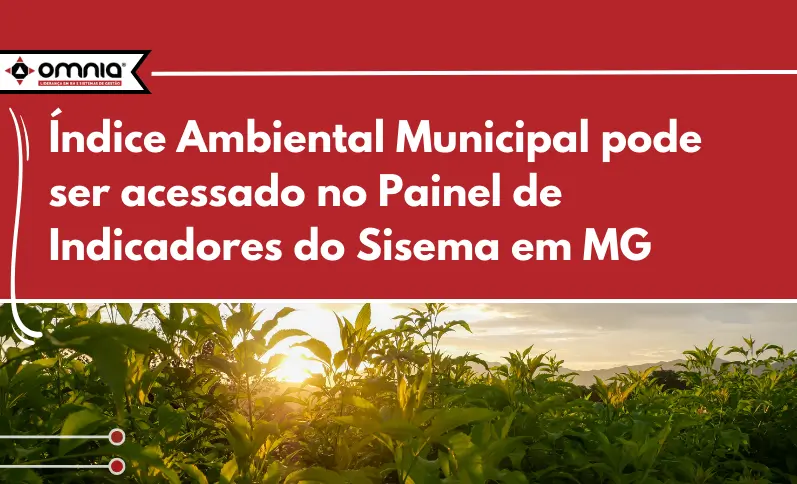 Imagem de árvores.
