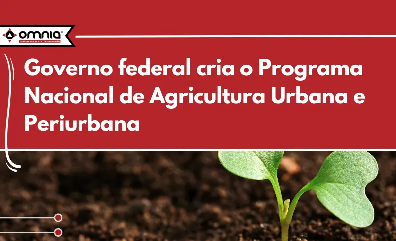 Planta.