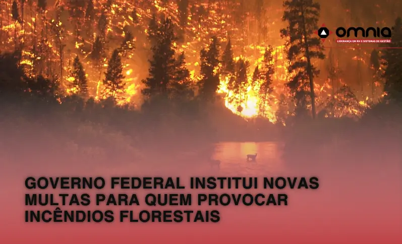 Incêndio florestal.